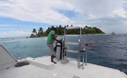 潜水协会及 潜水协会及