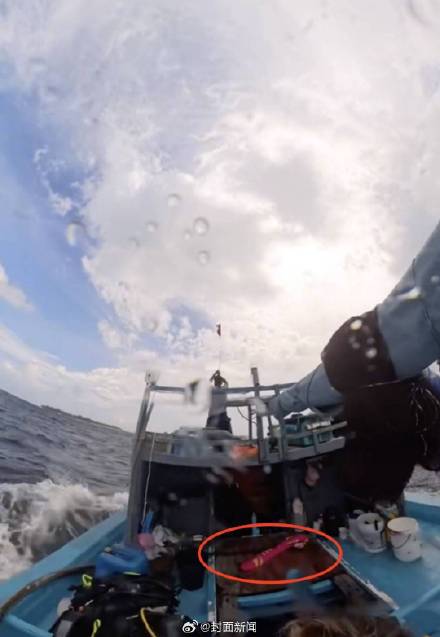 客看到, 目前暂未收, 最终用一根 客看到, 目前暂未收, 最终用一根